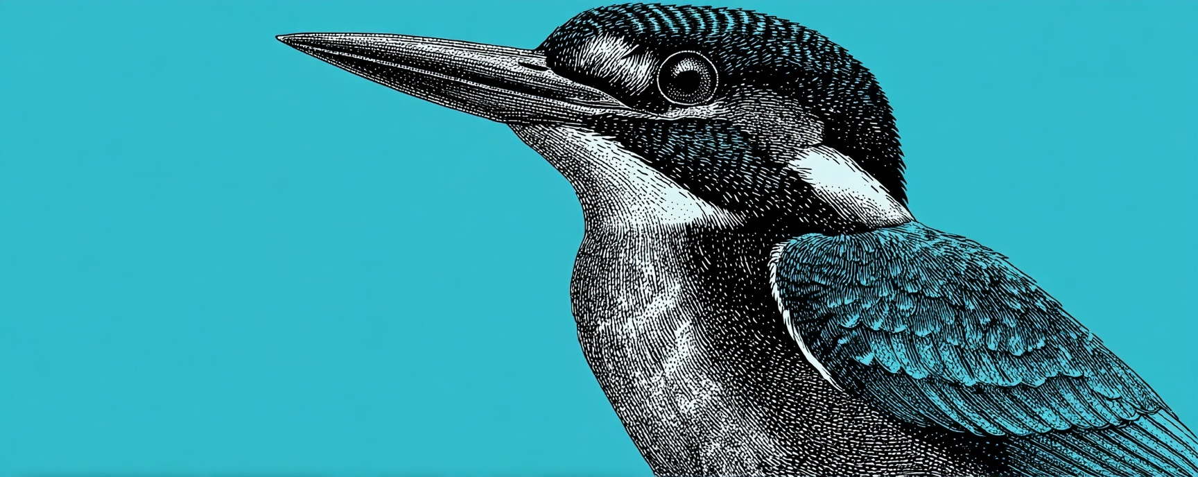 Setting up Rapid Logging for Obsidian on iOS and MacOS